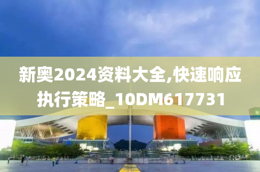 新奥2024资料大全,快速响应执行策略_10DM617731