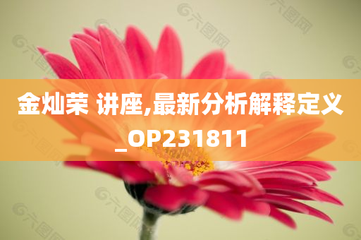 金灿荣 讲座,最新分析解释定义_OP231811