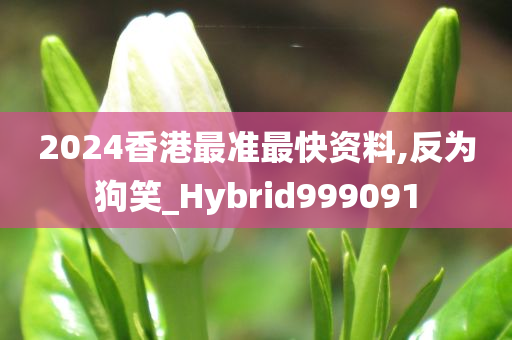 2024香港最准最快资料,反为狗笑_Hybrid999091