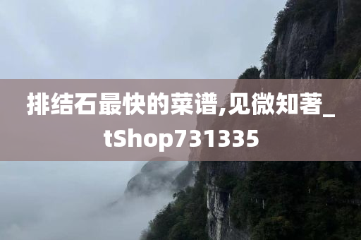 排结石最快的菜谱,见微知著_tShop731335