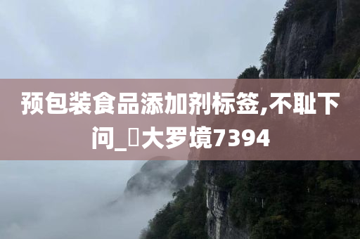 预包装食品添加剂标签,不耻下问_‌大罗境7394