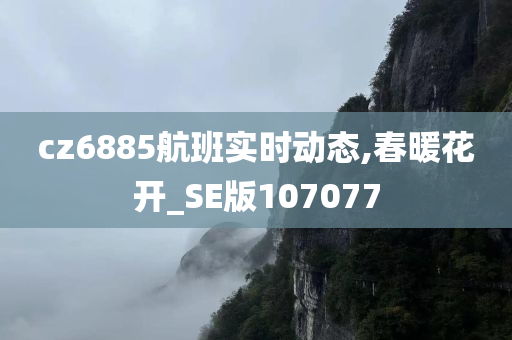 cz6885航班实时动态,春暖花开_SE版107077