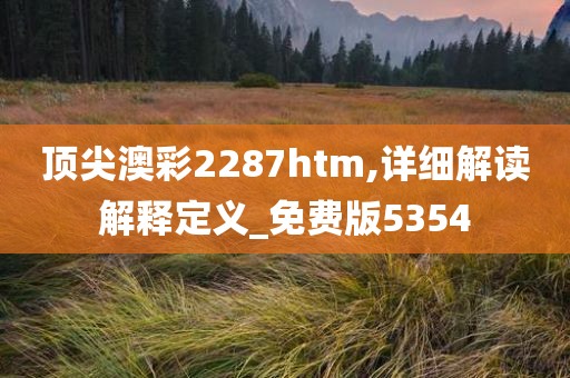 顶尖澳彩2287htm,详细解读解释定义_免费版5354