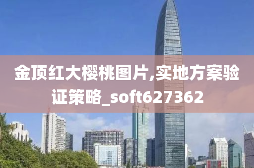 金顶红大樱桃图片,实地方案验证策略_soft627362