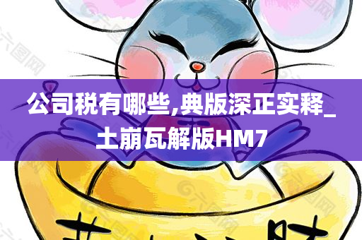 公司税有哪些,典版深正实释_土崩瓦解版HM7