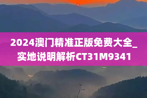 2024澳门精准正版免费大全_实地说明解析CT31M9341