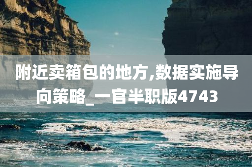 附近卖箱包的地方,数据实施导向策略_一官半职版4743