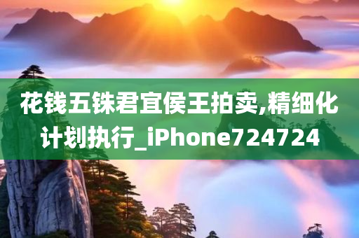 花钱五铢君宜侯王拍卖,精细化计划执行_iPhone724724