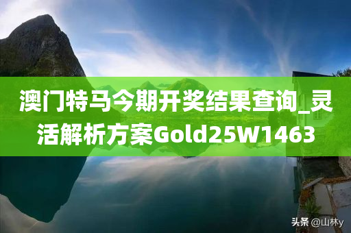 澳门特马今期开奖结果查询_灵活解析方案Gold25W1463