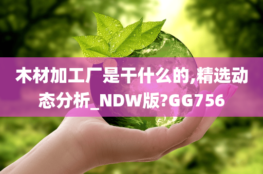 木材加工厂是干什么的,精选动态分析_NDW版?GG756