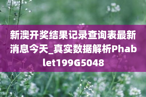 新澳开奖结果记录查询表最新消息今天_真实数据解析Phablet199G5048