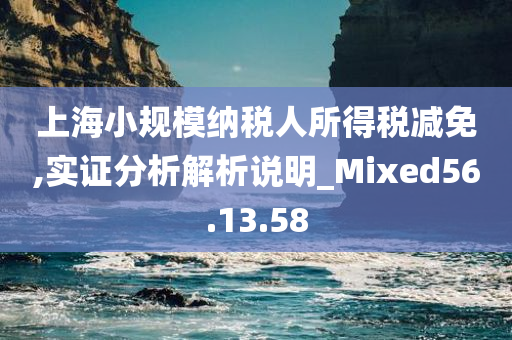 上海小规模纳税人所得税减免,实证分析解析说明_Mixed56.13.58