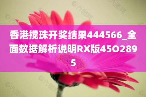 香港搅珠开奖结果444566_全面数据解析说明RX版45O2895