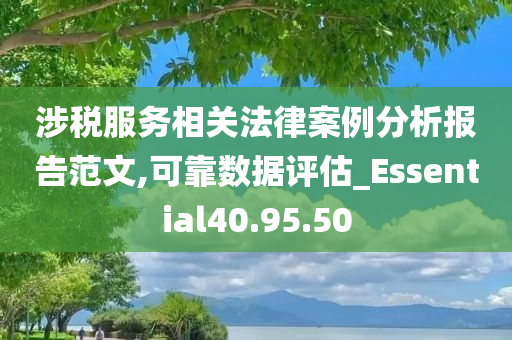 涉税服务相关法律案例分析报告范文,可靠数据评估_Essential40.95.50