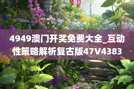 4949澳门开奖免费大全_互动性策略解析复古版47V4383