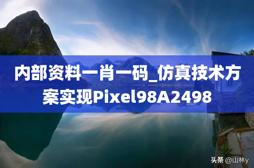 内部资料一肖一码_仿真技术方案实现Pixel98A2498