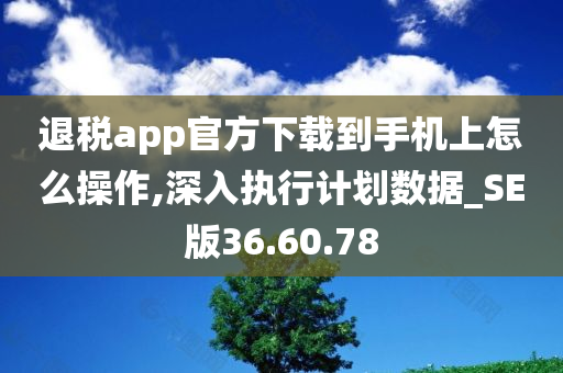 退税app官方下载到手机上怎么操作,深入执行计划数据_SE版36.60.78