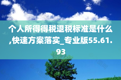 个人所得得税退税标准是什么,快速方案落实_专业版55.61.93