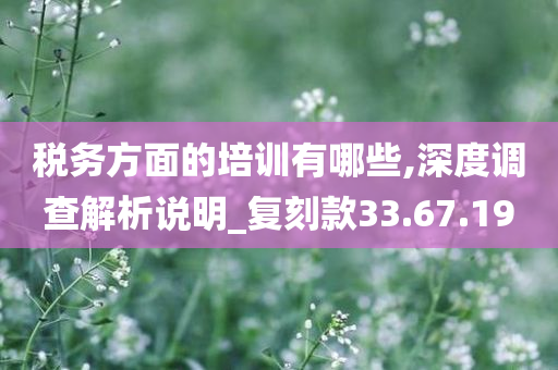 税务方面的培训有哪些,深度调查解析说明_复刻款33.67.19