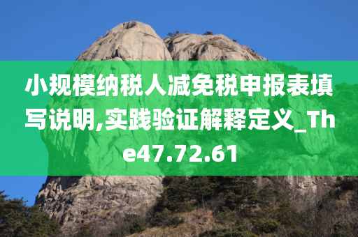 小规模纳税人减免税申报表填写说明,实践验证解释定义_The47.72.61