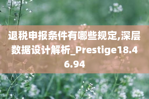 退税申报条件有哪些规定,深层数据设计解析_Prestige18.46.94