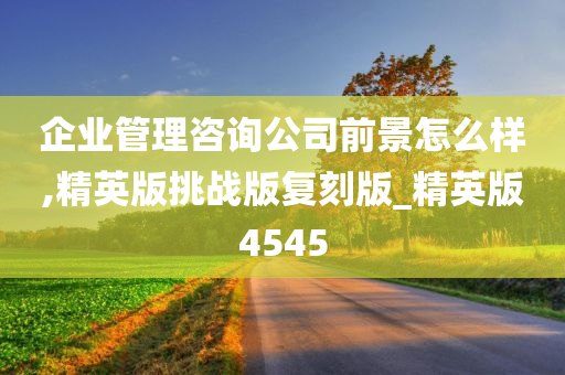 企业管理咨询公司前景怎么样,精英版挑战版复刻版_精英版4545