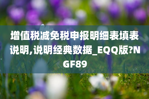 增值税减免税申报明细表填表说明,说明经典数据_EQQ版?NGF89