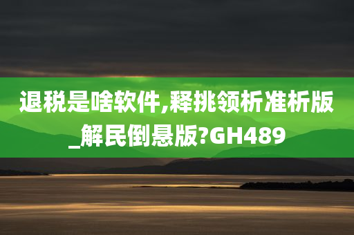 退税是啥软件,释挑领析准析版_解民倒悬版?GH489