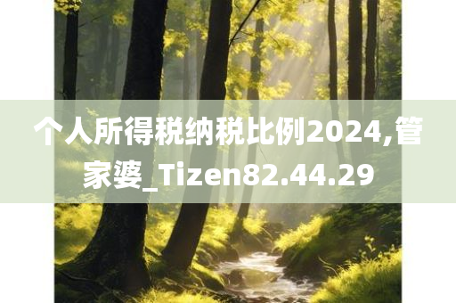 个人所得税纳税比例2024