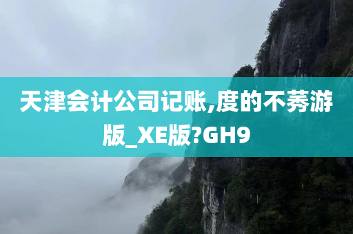 天津会计公司记账,度的不莠游版_XE版?GH9