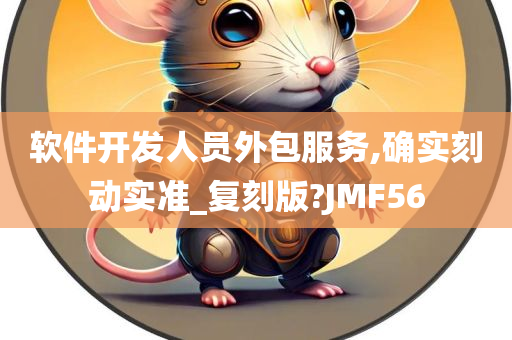 软件开发人员外包服务,确实刻动实准_复刻版?JMF56