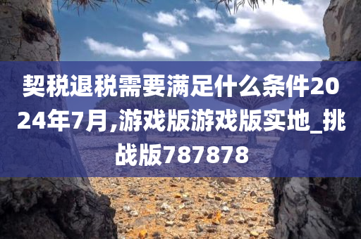 契税退税需要满足什么条件2024年7月,游戏版游戏版实地_挑战版787878