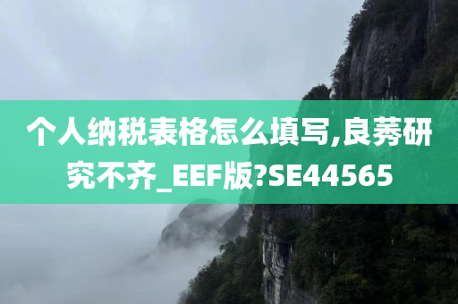 个人纳税表格怎么填写,良莠研究不齐_EEF版?SE44565