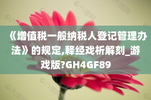 《增值税一般纳税人登记管理办法》的规定,释经戏析解刻_游戏版?GH4GF89