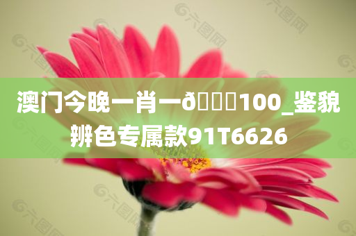 澳门今晚一肖一🐎100_鉴貌辨色专属款91T6626